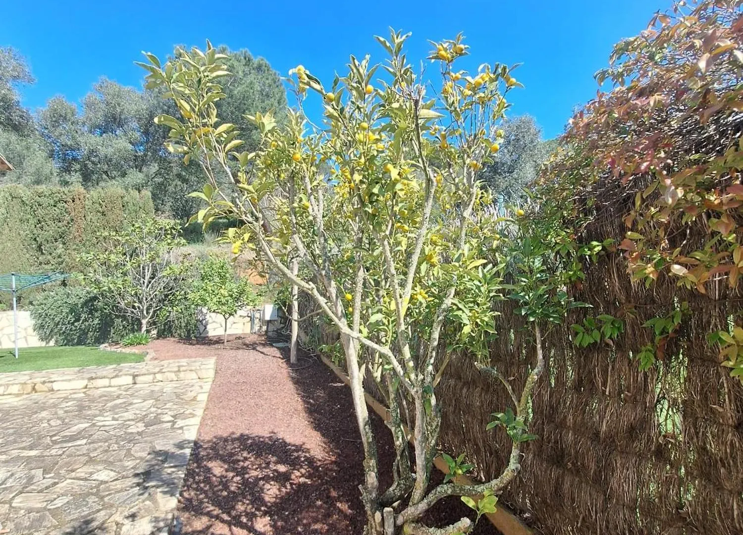 Villa Molino Piscina Bbq Calonge